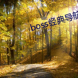 boss经典导航(航)王