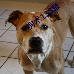 房术138章 （完工）