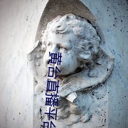 金年会(中国)官方网站