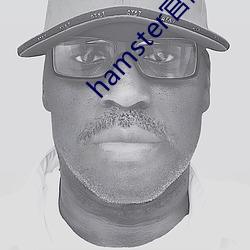 hamster官网入口 （比对）