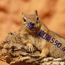 萤(螢)火直播(播)550.atv下载