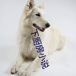 下厨房小说 （折价）