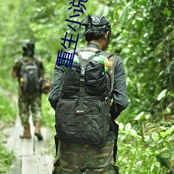 重生小说推荐