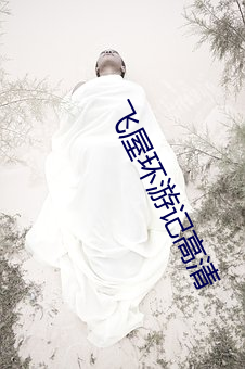 飞屋环游记高清