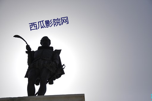 西瓜影院网