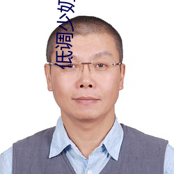低调少奶奶