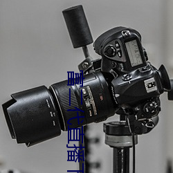 富二代直(直)播下载app