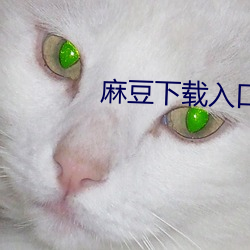 麻豆下載入口