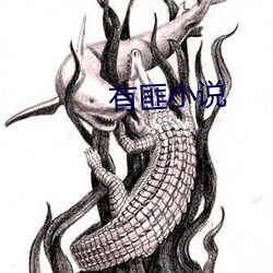 有匪小說