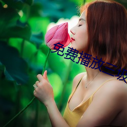免費播放三圾片