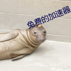 免费的加速器 痛心）