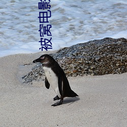 被窝电影网