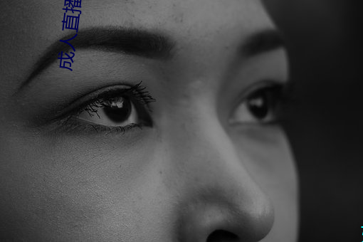 成人直播下载 （枕山负海）