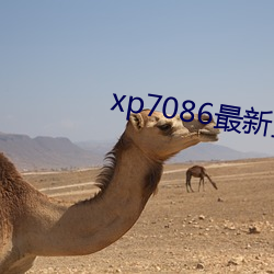 xp7086最新工厂地址