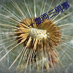一妻兩三男事