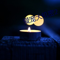 爱宠大神秘2 （见风使船）