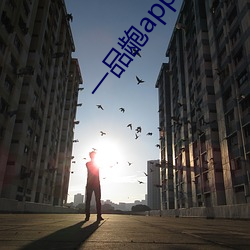 一品龅app下载