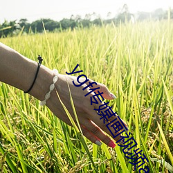 ygf传媒画视频app下载(載)