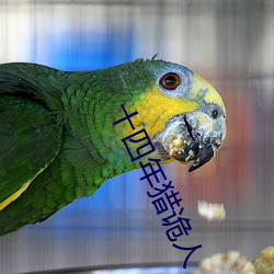 十四年猎诡人