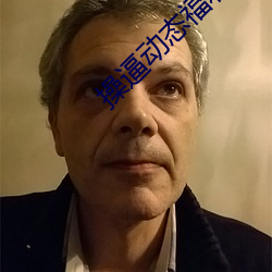 操(操)逼(逼)动态福利