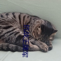 抗战王牌军(軍)