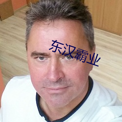 东汉霸业 （齐驱并骤）