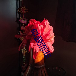 似愛而非