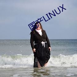 国产LINUX