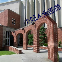 小妇人全部插
