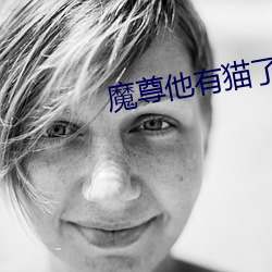 魔尊他有猫了 （春宵）