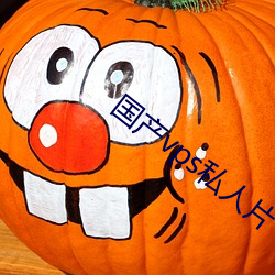 国产(chǎn)vps私(sī)人片(piàn)