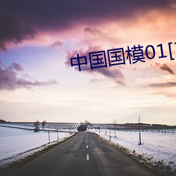中国国模01[150p]