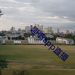 趣情app直播