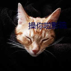 操(cāo)你啦影(yǐng)院