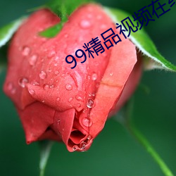 99精品(pǐn)视(shì)频(pín)在线(xiàn)寓目免费