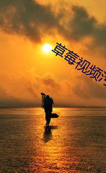 草(cǎo)莓(méi)视(shì)频污染(rǎn)网站