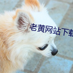 老黃網站下載大全