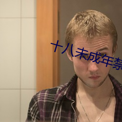 十八未成年禁用网站 （著录）