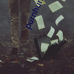 purnhurb下载地址 （司马称好）