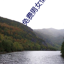 免费男女情感(感)类app