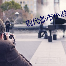 现代都市小说 （照办）