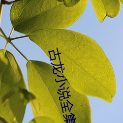 古(古)龙小说全集