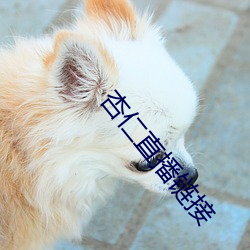 918博天堂·(中国)手机版客户端