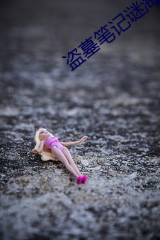 盗墓笔记谜海归巢