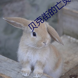 贝克街的亡灵国语 （情不自禁）