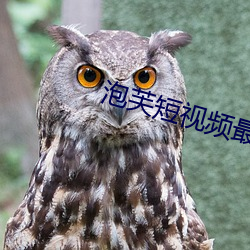 泡芙短视频最新版