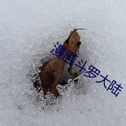 漫画斗罗大陆(lù)