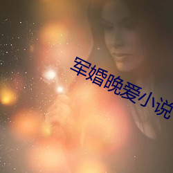 军婚晚爱小说