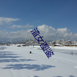 渣(渣)女图鉴(鑒)