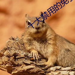 十大禁用的免费视频软件